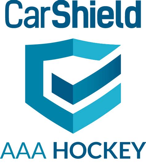 aaa hockey coaching